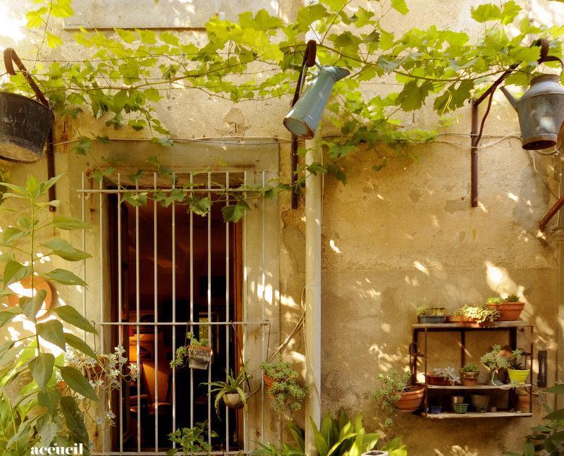 Отель La Vigne Bleue Olonzac Экстерьер фото